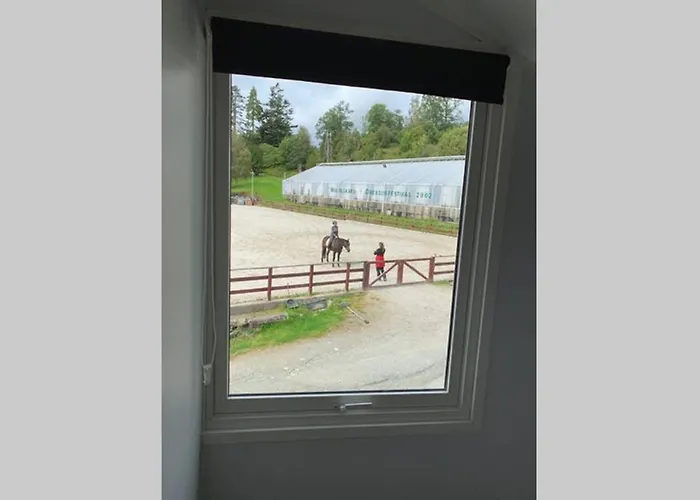 Moldegaard Riding Lodge